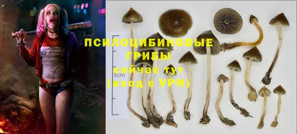 PSILOCYBIN Володарск