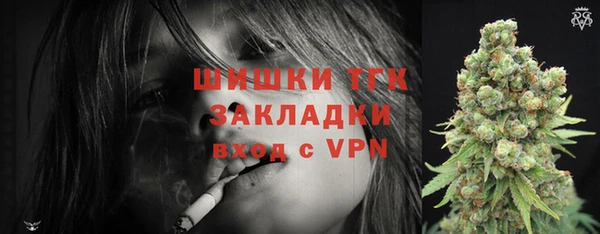 индика Михайлов