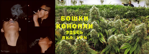 шишки Навашино