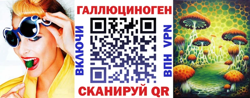 закладки  Катав-Ивановск  Псилоцибиновые грибы Psilocybe 